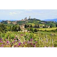 Small-Group Tuscany Wine Country Day Trip from Rome Including Wine Tasting