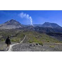 small group full day tour of mount st helens volcano from seattle