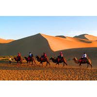 small group dunhuang day tour including camel ride mo gao caves cresce ...