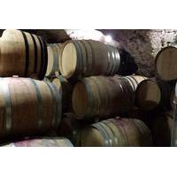 small group half day best cru of provence wine tour from avignon