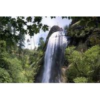 Small Group Willamette Valley Wine and Waterfalls Tour
