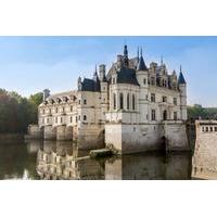 Small-Group Tour from Paris by TGV: 4 Loire Valley Chateaux in a Day