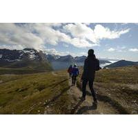 Small-Group Hiking with Mountain and Fjord Scenery from Tromso