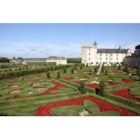 small group day tour of loire valley villandry chinon and langeais wit ...