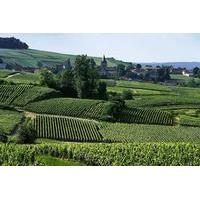 Small-Group Day Tour of Epernay: Picturesque Moet et Chandon and Hautvillers with Champagne Tasting from Reims
