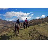 small group gold discovery horse riding in cardrona valley