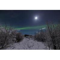 Small-Group Aurora Borealis - Northern Lights Tour