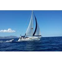Small-Group Full-Day Sailing Yacht Cruise to Rhenia Island