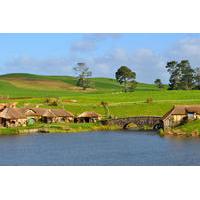 small group tour the lord of the rings hobbiton movie set tour from au ...