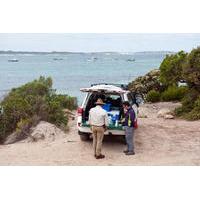 Small-Group Kangaroo Island 4WD Tour from Adelaide