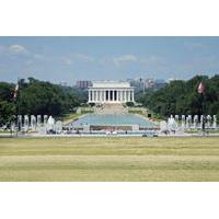 Small-Group National Mall Walking Tour in Washington DC