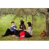 small group wines and vines of verona tour including wine tasting and  ...