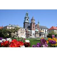Small-Group Krakow Old Town Walking Tour Including Rynek Glówny, Mariacki and Wawel Cathedral