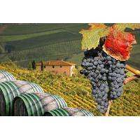 Small-Group Tuscany Wine-Tasting Tour from Florence