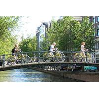 Small-Group Amsterdam Bike Tour