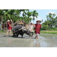 small group hoi an country life agricultural experience