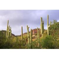 Small-Group Tour: Deluxe Phoenix and Scottsdale Day Trip