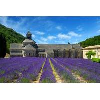 Small-Group Highlights of Provence Tour with Calissons d\'Aix Tasting