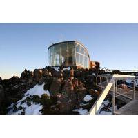 small group tour from hobart including mt wellington bonorong wildlife ...