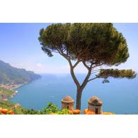 Small-group tour of Amalfi Coast Tour from Sorrento Including Lunch