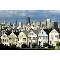 Small-Group Tour: San Francisco City and Muir Woods