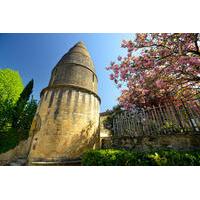 Small-Group Dordogne Day Tour from Sarlat