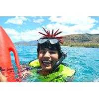 Small Group - Hidden West Oahu Land and Snorkeling Tour