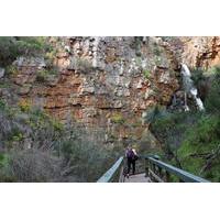 small group bush walk with sinclairs gully winery day trip from adelai ...