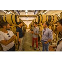 Small-Group Half-Day Tour to the Champagne Region from Reims with Champagne Tastings