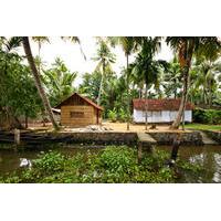 small group kerala backwaters tour from kochi including ayurvedic mass ...