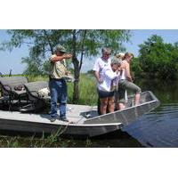 Small-Group Airboat Swamp Adventure and Plantation Tour from New Orleans