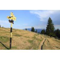 small group piatra craiului national park hiking tour from brasov