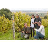 small group quebec wine tour from montreal with optional gourmet lunch ...