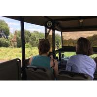 Small-group Morning Safari in Kruger Park from Hazyview