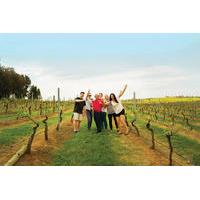 small group hunter valley adventure tour with wood fired pizza lunch