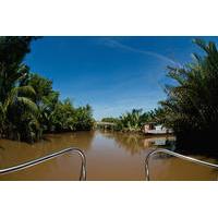 Small-Group Authentic Mekong Delta Experience by Speedboat