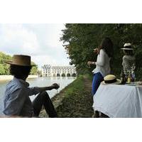 Small-Group Half-Day Tour to Chenonceau and Da Vinci Clos Lucé Castles from the Town of Tours