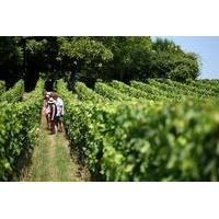 small group medoc wine tasting and chateaux tour from bordeaux