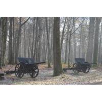 small group wwi day trip from paris aisne marne battlefields belleau w ...