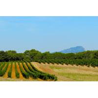 Small-Group Half-Day Languedoc Pic Saint-Loup Wine Tour from Montpellier