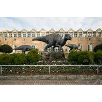 Small Group Tour to Fernbank Museum of Natural History