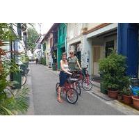 Small-group Singapore Highlights Bike Tour