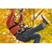 small group northern berkshires zip line canopy tour