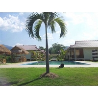 Smile Resort Chiangmai