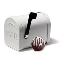 Small White Tin Mailbox Favour Container