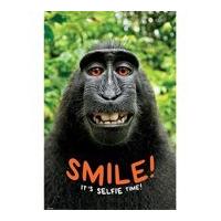 Smile Its Selfie Time Monkey - 24 x 36 Inches Maxi Poster