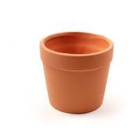Small Terracotta Pot