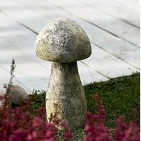 Small Croggan Toadstool