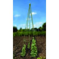 Smart Garden Quick And Easy 2.0m Wigwam Gro-Belisk Plant Support