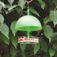 Small Hanging Bird Seed Feeder by Kingfisher